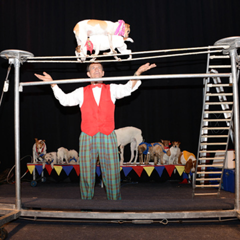 Johnny Peers and the Mutville Comix Circus Dog Show